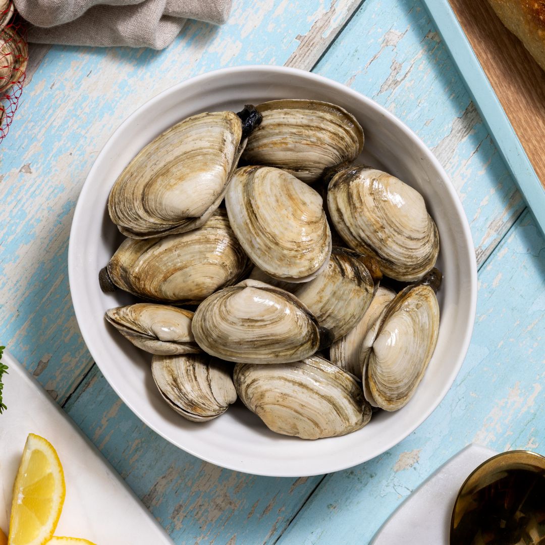 Gulf of Maine Steamer Clams - 1 lb.