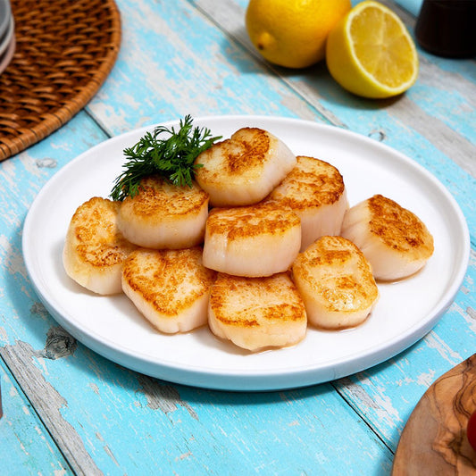 Frozen Maine Scallops