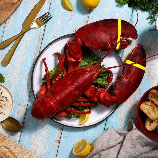 3 lb Live Maine Lobster